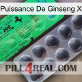 Ginseng Power X new04